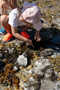 A kid looking for crabs 