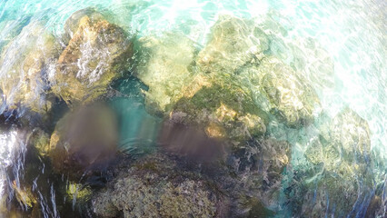 Obraz na płótnie Canvas Tropical beach of Princess Cays Island