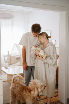coming home with newborn and introducing to family dog