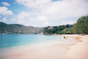 St. Lucia beach with dog,