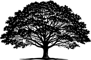 tree vector illustration