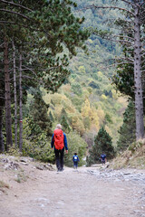 Unrecognizable woman with backpack walking on pathway