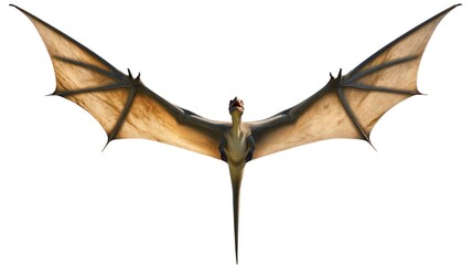 Clipart vector illustration of a flying dinosaur, Pterodactyl. - obrazy, fototapety, plakaty