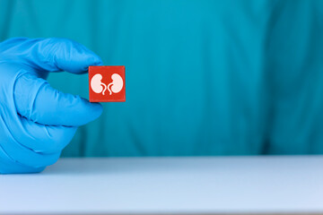 The doctor shows a red cube with the kidneys icon. Concept of voluntary kidney donation. Cyst...