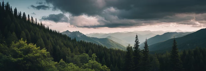 Fototapete Tatra panorama of the mountains