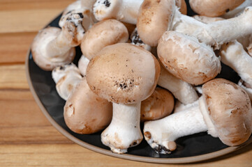 Organic Brown champignons mushrooms from underground caves in Kanne, Belgium, close up