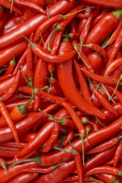 Pile red hot chili peppers as seamless pattern