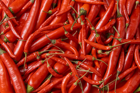 Seamless pattern of red hot chili peppers
