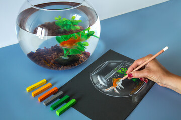 Soft pastel painting, drawing of gold fish in the bowl on the blue background. Set of soft pastel crayons	