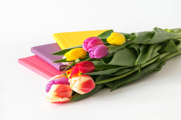 multicolor tulip bouquet with photo book set on the white background, gift on holiday, isolated on white