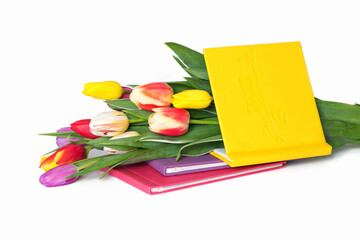 multicolor tulips bouquet with book set on the white background, gift on holiday, isolated on white