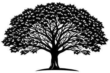 tree vector illustration