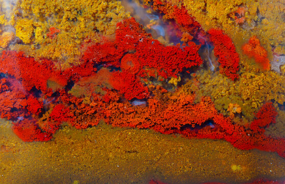 Colorful agate texture details macro