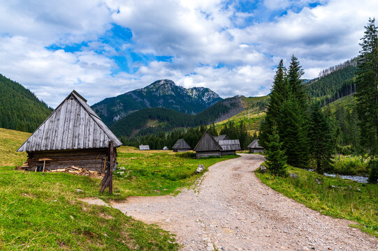 Dolina Chochołowska Tatry