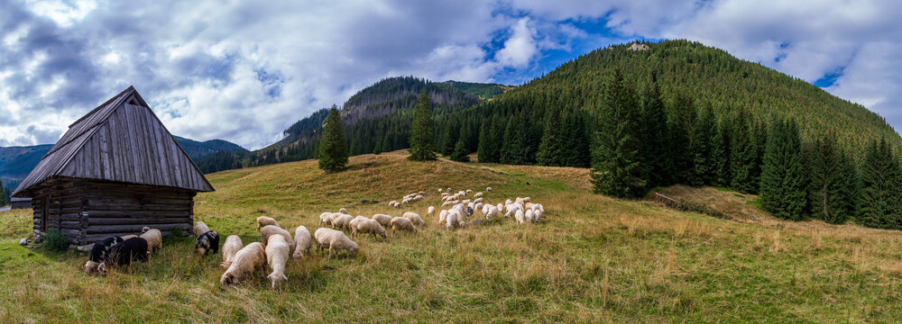 Dolina Chochołowska Tatry Panorama