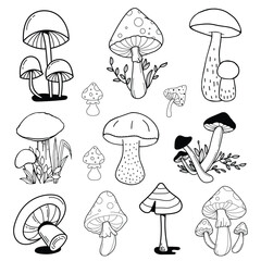 mushrooms outline icons