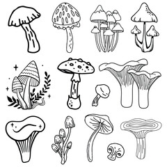 Magical mushrooms collection