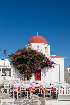 Red dome church and pink flowers at Mykonos, Greek Island 