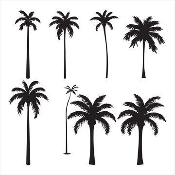 A black silhouette palm set
