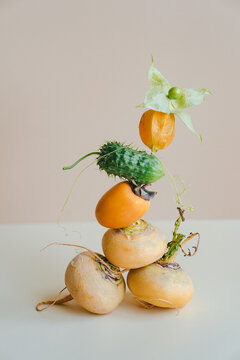 Still life with turnip, cucumber and physalis