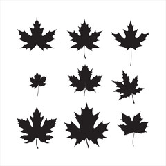 A black silhouette Maple set
