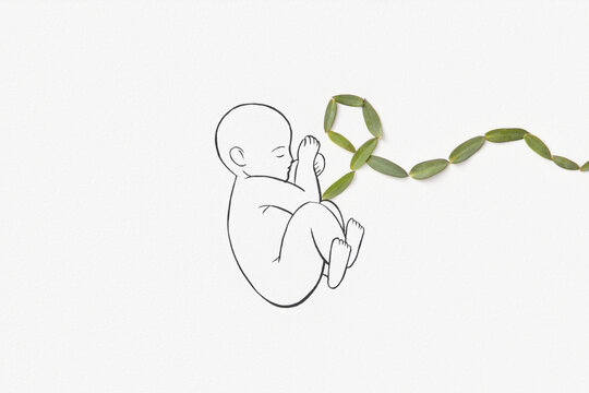 Line art of human fetus with umbilical cord made of fresh leaves