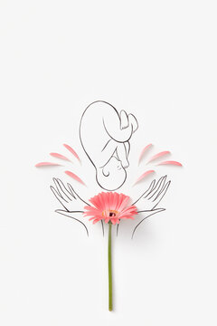 Drawn illustration of baby lying on female hands with gerbera