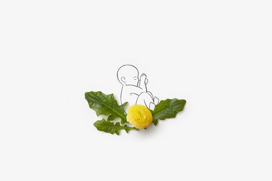 Yellow flowers and green leaves surrounding line drawn baby