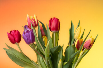Bunch of Multicolored Tulips on an Orange and Yellow Gradient Background