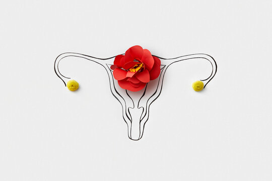 Linear art of female uterus with paper made flower and natural ones