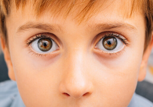 Crop boy looking at camera