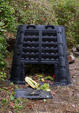 Backyard Compost Bin Has Been Raided by Raccoons