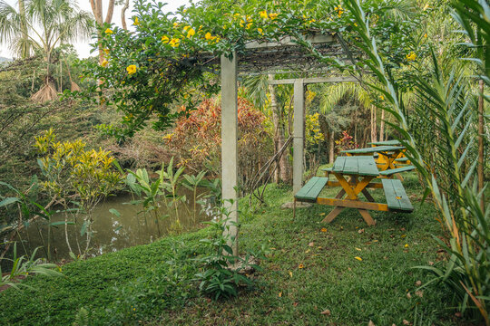 Wooden table in nature