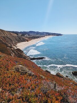 Ice plant and the ocean