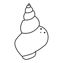 Black and white doodle horse conch. Coloring page with see shells. Isolated on white.