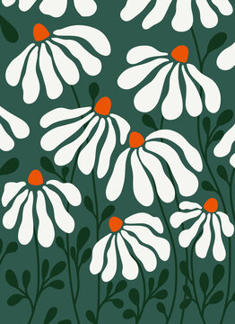 Beautiful pattern of chamomiles.