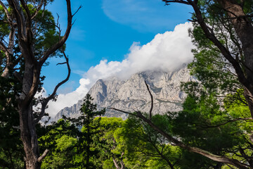 Idyllic hiking trail in conifer forest with panoramic view of majestic mountain ridges of Biokovo nature park in Dinaric Alps, Balkan Peninsula. Makarska riviera travel destination in summer. Hike