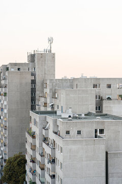 Concrete Jungle