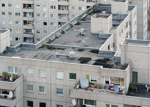 Concrete Jungle