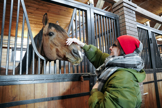 Woman and horse at stable