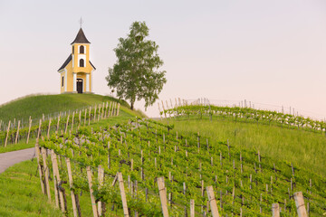 Fototapeta na wymiar Dreisiebnerkapelle, Karnerberg, Südsteirische Weinstrasse, Windische Bühel, Steiermark, Österreich