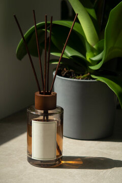Home fragrance scented sticks and plant in a pot