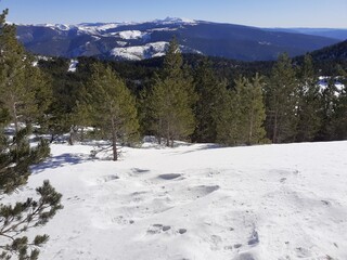 Montaña