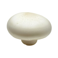 Fototapeta na wymiar mushrooms isolated on white