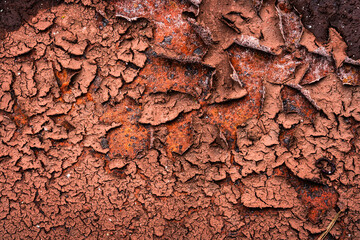 Verwitterung Strukturschäden Rost Korrosion