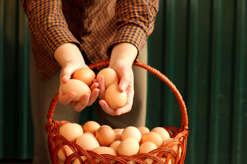 Organic brown eggs collected in a basket by a female farmer on a vibrant green background. Poultry...