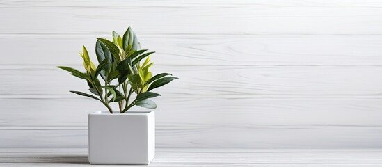A small houseplant in a flowerpot sits on a white table, adding a touch of greenery to the buildings interior decor
