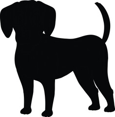 beagle-dog-cartoon-white-background