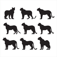 A black silhouette Tiger set
