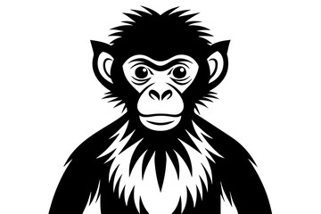 monkey vector illustration